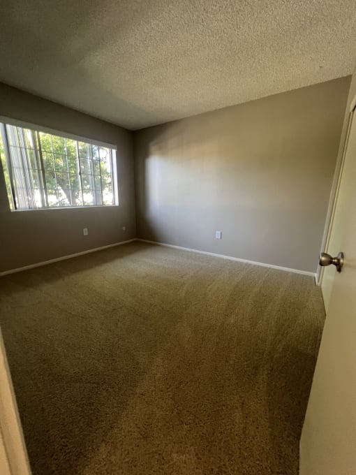 an empty bedroom with a large window and carpet