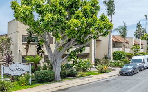 A tree in front of apartment buildings with a sign that says Las Buena.