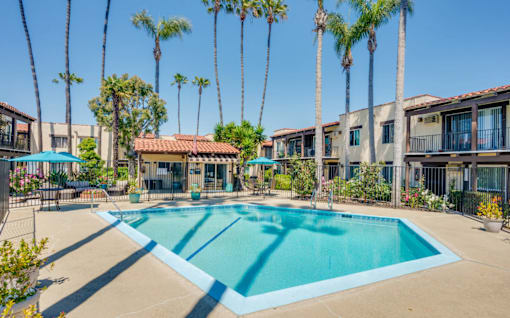A swimming pool surrounded by palm trees and a building in the background.