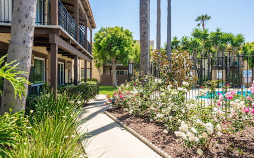 A walkway with a side of flowers and trees.