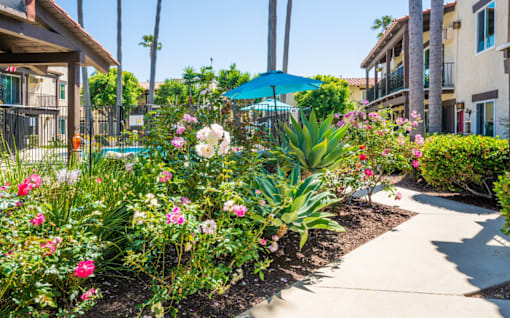 A garden with a variety of flowers and plants.
