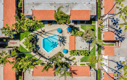 A swimming pool surrounded by trees and buildings.