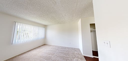 A room with a window covered by white blinds and a carpet on the floor.