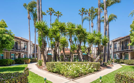 A row of palm trees in front of apartment buildings.