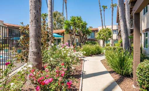 A garden with a walking path and a pool in the background.