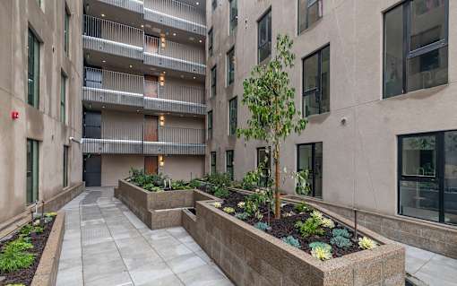 A courtyard with a tree and planters in front of a building.