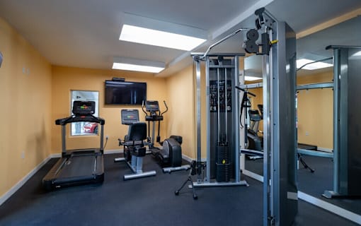 A gym with treadmills, weights, and exercise machines.
