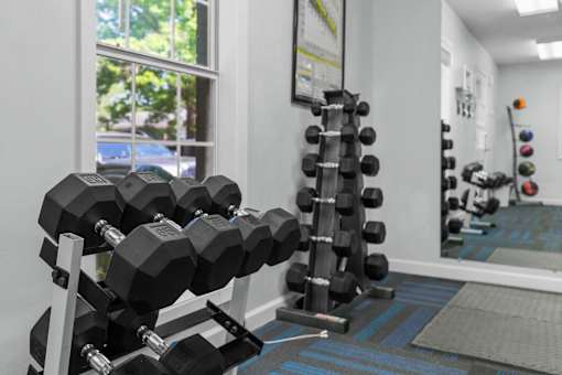 A gym with a rack of black dumbbells.