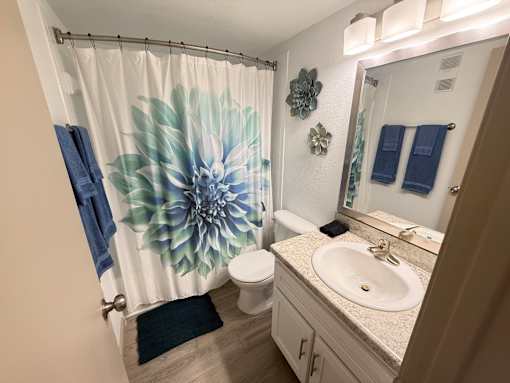 A bathroom with a white sink, a white toilet, a shower curtain with a blue flower design, and a mirror.