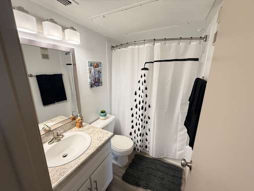 A bathroom with a toilet, sink, and shower curtain.