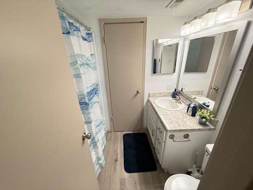 A bathroom with a sink, mirror, toilet, and a shower curtain.