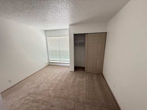A room with a carpeted floor and a brown door.