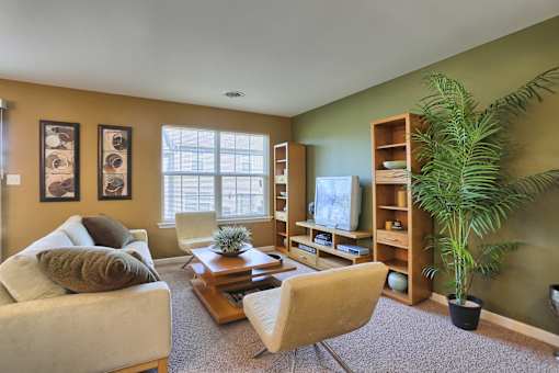 Living room with accent walls