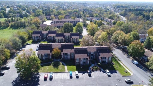 Treeview Aerial