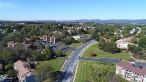 Treeview Aerial