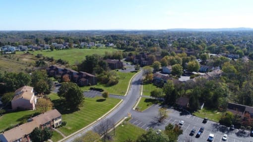 Treeview Aerial