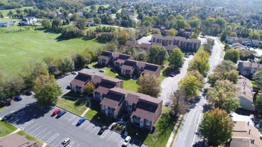 Treeview Aerial
