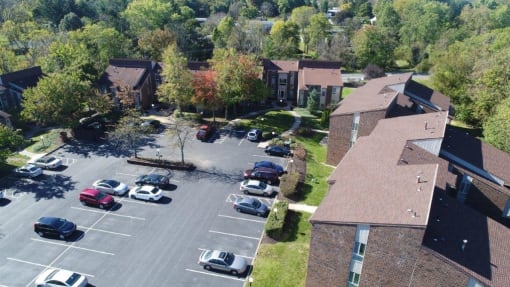 Treeview Aerial