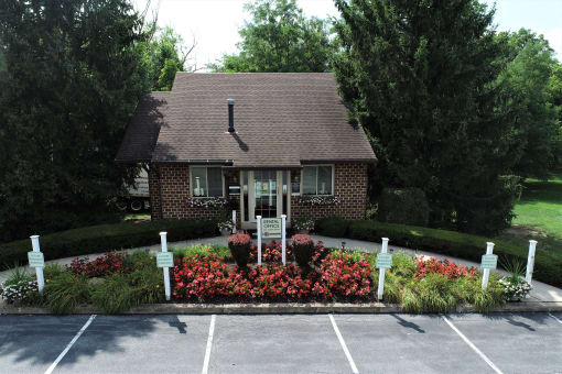 Treeview Office