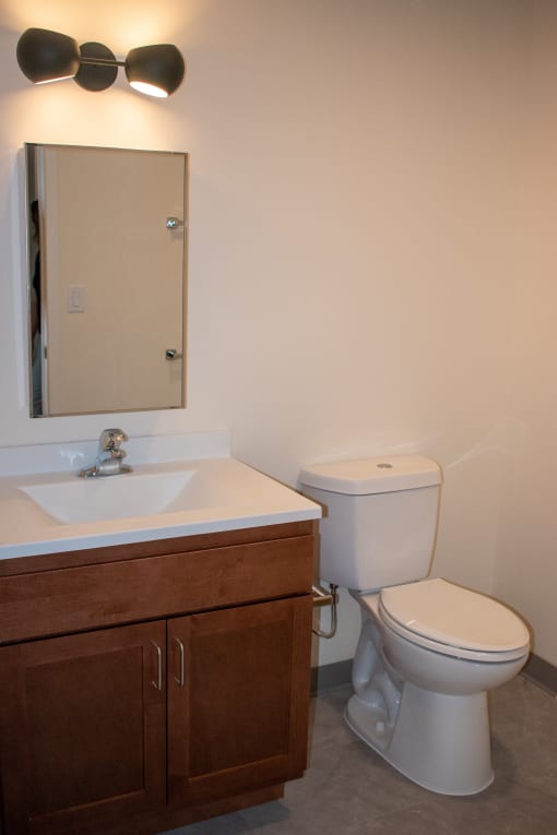 a bathroom with a toilet and a sink and a mirror