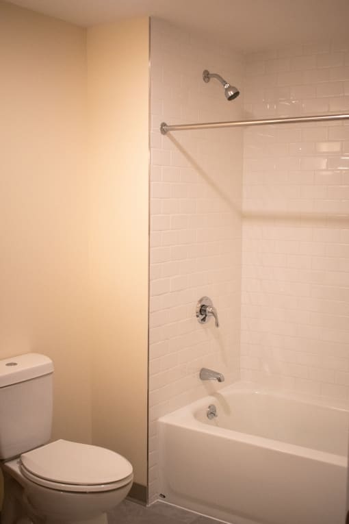 a bathroom with a toilet and a tub and a shower