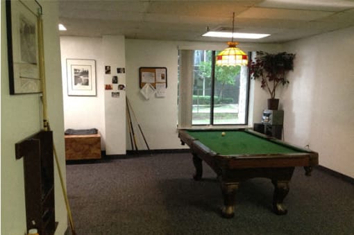 Billiards Table at 8330 On the River, Michigan, 48214