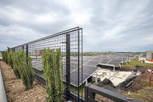 A row of solar panels are installed in a field.