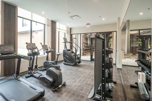 A gym with treadmills, elliptical machines, and weight machines.