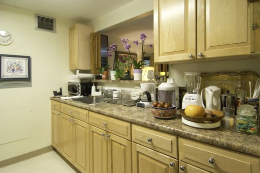 a kitchen with wooden cabinets and a granite counter top