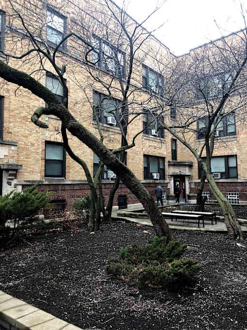 A tree branch is in the foreground of a building.
