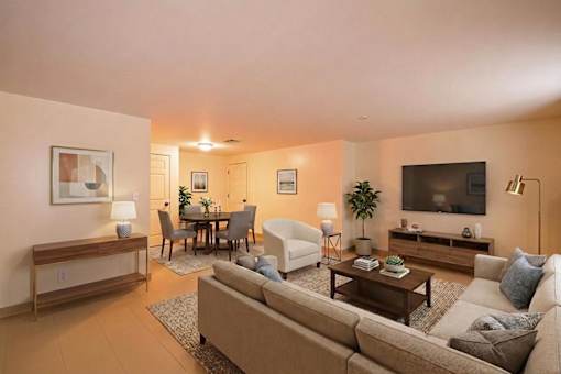 A living room with a couch, a chair, a dining table, and a television.