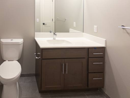 A white toilet sits next to a sink in a bathroom.