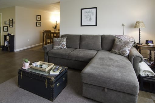 a living room with a gray couch and a trunk