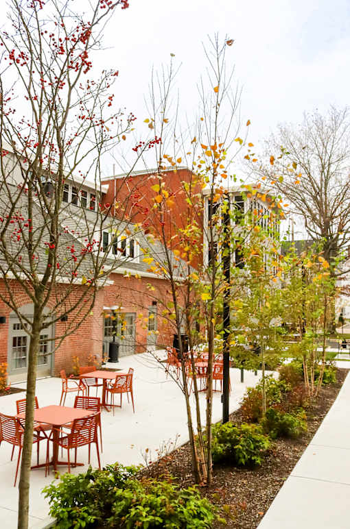 A courtyard with tables and chairs and trees.
