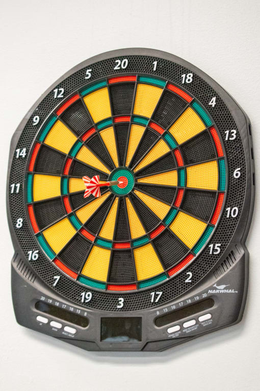 a dart board with sixteen darts in the center