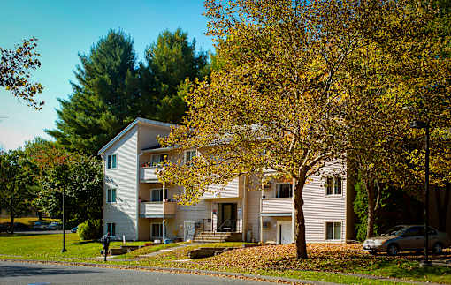 A tree with yellow leaves is in front of a white building.