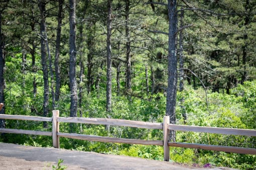 a wooden fence with a forest in the background