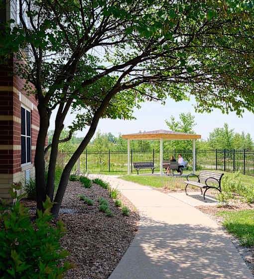 A park with a bench and a tree.
