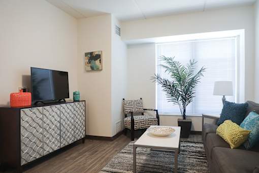 A living room with a grey couch, a white coffee table, a black television, and a plant.