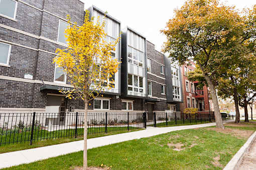 A tree with yellow leaves stands in front of a grey building.