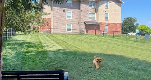 Spacious private dog park with bench and shade trees at Breckenridge Apartments in Omaha, NE