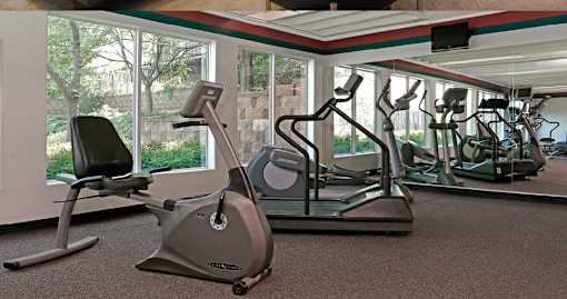 Fitness center with cardio equipment and huge windows at Kensington Woods Apartments in Omaha Nebraska