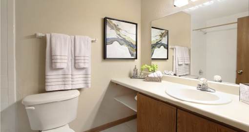 Master bathroom with extra storage space, built-in shelves, tile floors and tile showers at LionsGate Apartments