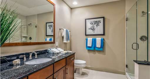 Luxury bathroom with granite countertops, glass shower and separate soaking tub at Villa Piana Apartments in Dallas