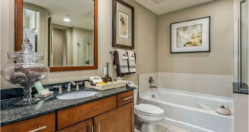 Luxury bathroom with granite countertops, glass shower and separate soaking tub at Villa Piana Apartments in Dallas