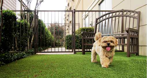 Pet friendly luxury apartments with puppy palazzo and dog yard at Villa Piana Apartments in Dallas