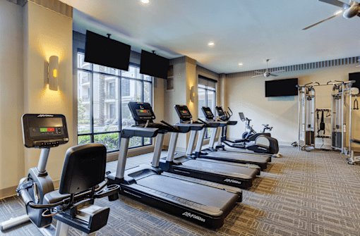 Luxury apartments with a state-of-the-art fitness center at Le Palais Apartments in Houston.