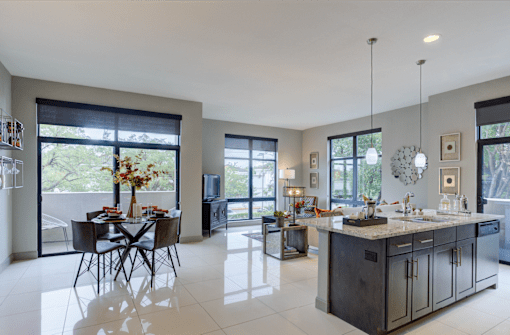 Luxury apartments with spacious open floor plan, oversized windows, downtown views, granite countertops at Le Palais Apartments in Houston.
