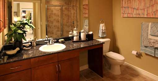 Spacious luxury bathroom with granite vanity top and glass shower at Delante Apartments in Irving Texas