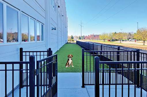 Private dog park at Xenia Apartments in Golden Valley, Minnesota